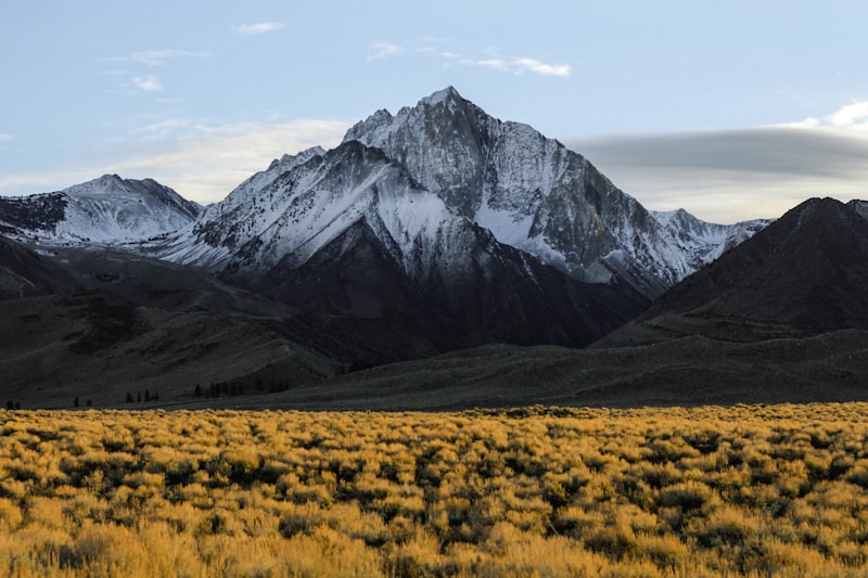 Altitude Sickness: How to Prevent and Treat in High Altitudes